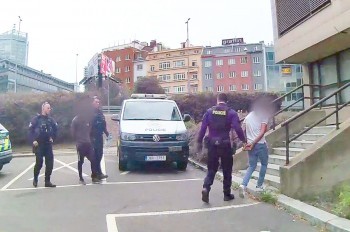 В Праге трое иностранцев изнасиловали в парке девушку-инвалида