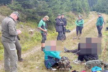 Организованные группы поляков лишают черники животных в чешском заповеднике