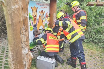 В Чехии ребенок оказался в неожиданной ловушке. Помогли пожарные