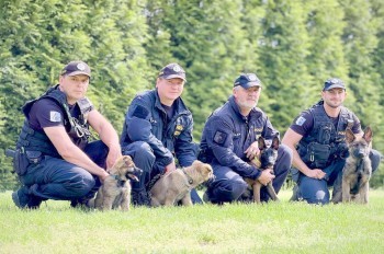 Полиция Чехии представила четырехлапых новобранцев