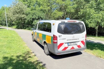 В Праге обнаружили труп на дереве