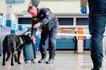 В зоопарке Праги родился детеныш южноафриканского морского льва
