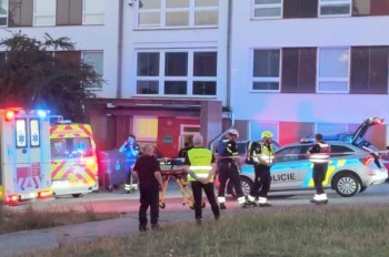 В Праге мужчина с топором напал на постояльцев общежития и полицейских
