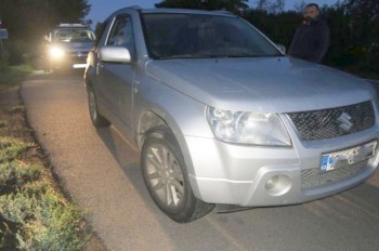 Необычное ДТП в Чехии: автомобиль сбил кенгуру