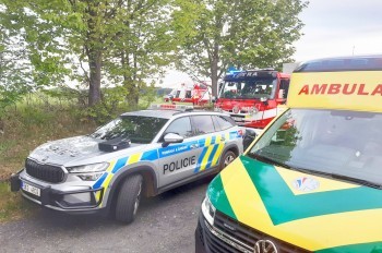 В Чехии выпрыгнувший на дорогу олень убил мотоциклиста