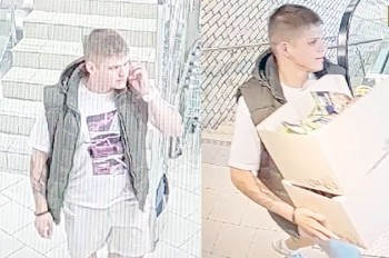 В Праге разыскивают похитителя орехов: видео